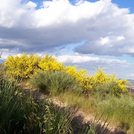Farm stay Solar De Braganca