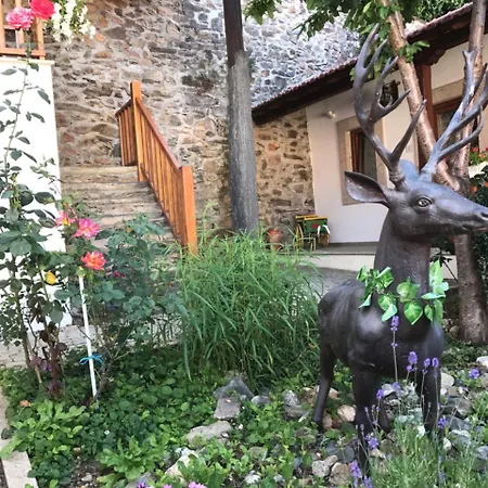 Solar De Rabal Фермерский дом