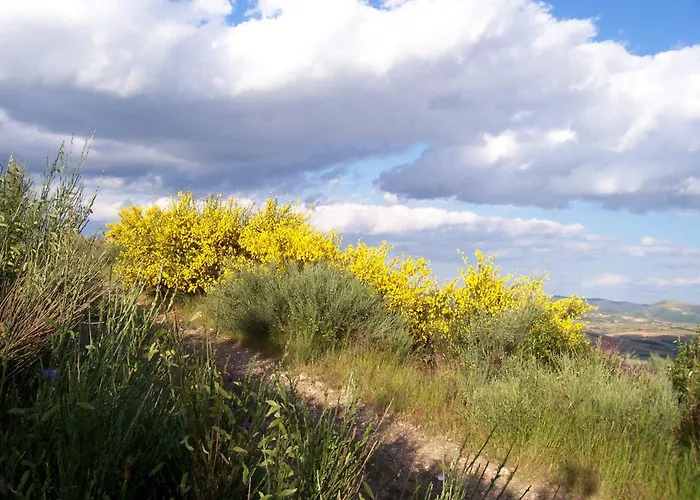 Çiftlik konaklama Solar De Rabal Bragança