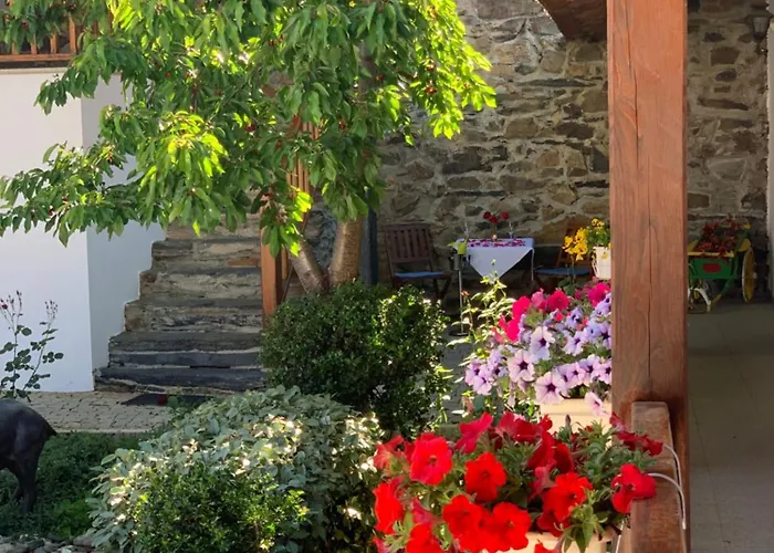 Çiftlik konaklama Solar De Rabal Bragança